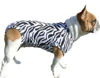 Medical Pet Shirt Hond Zebraprint XL