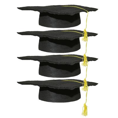 Geslaagd thema hoedje voor kinderen - Set van 4x stuks - verkleed feestartikelen - afstudeer hoedje
