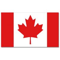 Vlag Canada 90 x 150 cm feestartikelen - thumbnail