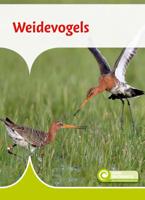 Weidevogels (Hardback)