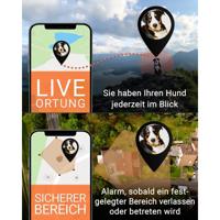 PAJ GPS PET Finder 4G GSM-tracker Huisdiertracker 1 stuk(s) - thumbnail