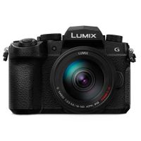 Panasonic Lumix DC-G91 + AF 14-140mm OIS II