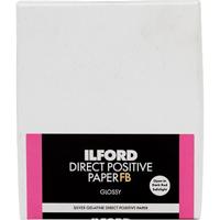 Ilford Direct Positive Paper FB 1k 11x14 10 vellen