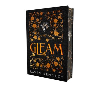 Gleam (Hardback)