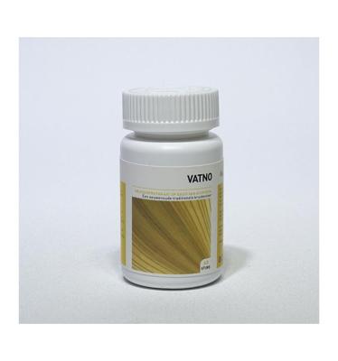 Vatno