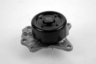 Waterpomp P7648
