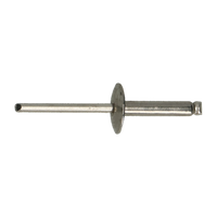 pgb-Europe PGB-FASTENERS | Blindklinknagel DIN 7337C Ø 4,80x20 A2/A2 | 250 st 07337CR04004800203