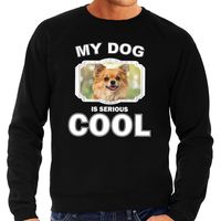 Honden liefhebber trui / sweater Chihuahua my dog is serious cool zwart voor heren - thumbnail