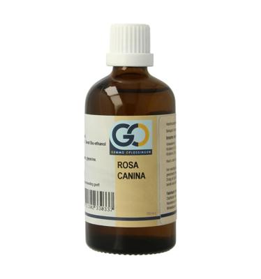 Rosa canina bio