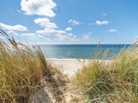 Strand duinen 70x50cm Tuinschilderij - Customize it