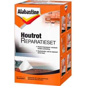 Alabastine Houtrotvuller reparatieset 0,5 kg