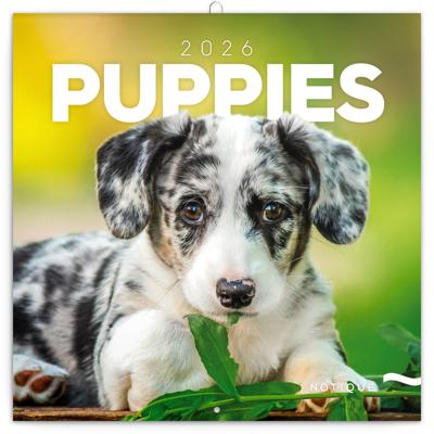 Puppies Kalender 2026