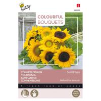 Buzzy - Colourful Bouquets, Sunlit Days (Zonnebloemen halfhoog)