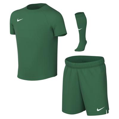 Nike Dri-FIT Park VIII Tenue Kleuters Donkergroen Wit