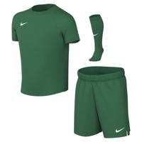 Nike Dri-FIT Park VIII Tenue Kleuters Donkergroen Wit