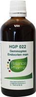 HGP022 Gemmoplex endocrien man