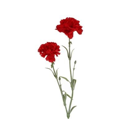 Anjer Kunsttak 61cm Rood