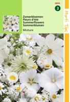 HT Zomerbloemen witte tinten - Hortitops