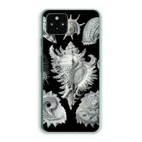 Haeckel Prosobranchia: Google Pixel 5a 5G Transparant Hoesje