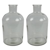 Countryfield vaas - 2x stuks - helder glas - fles - D17 x H31 cm - Vazen