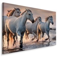 Schilderij - Kudde schimmels in de zee, prachtige wanddecoratie in premium print kwaliteit - thumbnail