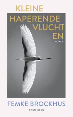 Kleine haperende vluchten (Paperback)