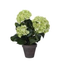 Kunstplant mica hortensia in pot groen | 4 stuks
