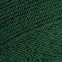 Stylecraft special DK 1009 bottle
