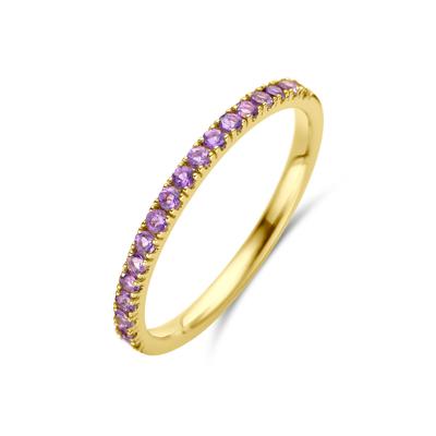 14K Geelgouden Ring met Amethist Geboortesteen - Februari