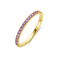 14K Geelgouden Ring met Amethist Geboortesteen - Februari