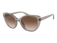 Zonnebrillen Armani Exchange AX4111SU 824013