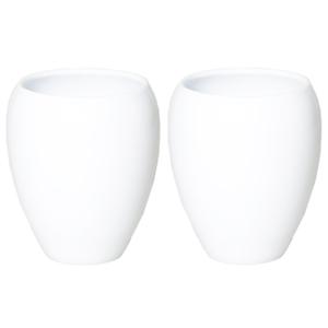 Bloemen vaas - 2x stuks - wit - D25 x H28 cm - keramiek - bloemenvaas - bloempot