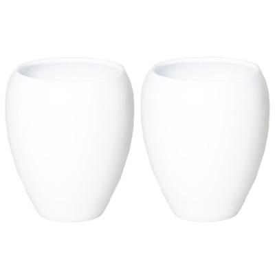 Bloemen vaas - 2x stuks - wit - D25 x H28 cm - keramiek - bloemenvaas - bloempot