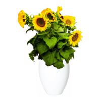 Bloemen vaas/vazen wit van keramiek D25 x H28 cm   -