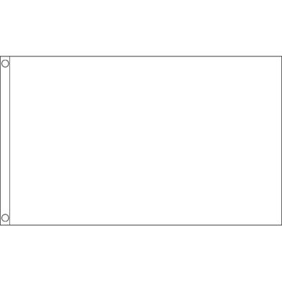 Witte vlag - 150 x 90 cm - decoratie vlag in de kleur wit - polyester - met ophangogen