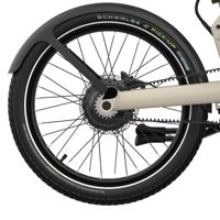 Eovolt achterwiel bafang dual speed afternoon pro zwart