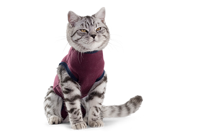 Jacketz Medical Body Suit bordeauxrood kat XS