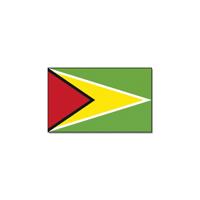 Vlag van Guyana - 90 x 150 cm - Guyana landen thema - supporters / fans - versiering