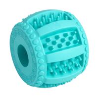 Honden-kauwspeelgoed Dental Line, turquoise