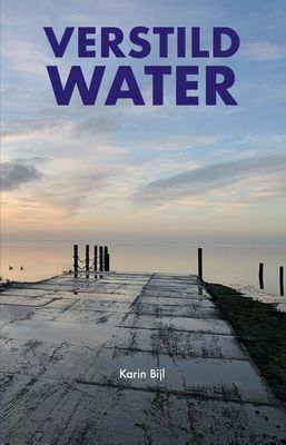 Verstild water - Karin Bijl - ebook