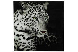 Schilderij luipaard C vk Wild life L zwart/wit-L0,4B80H80CM
