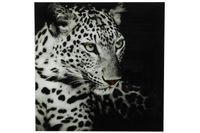 Schilderij luipaard C vk Wild life L zwart/wit-L0,4B80H80CM