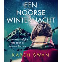 Een Noorse winternacht