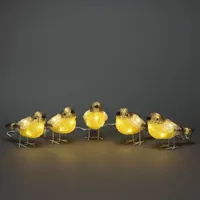 LED acryl lichtsnoer met Vogels