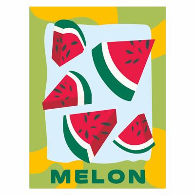 Ravensburger Creart schilderen op nummer - meloen