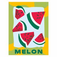 Ravensburger Creart schilderen op nummer - meloen