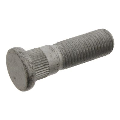 Wielbout 32307