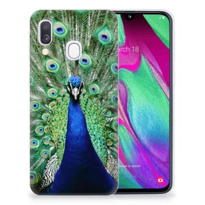 Samsung Galaxy A40 | TPU Hoesje | Pauw