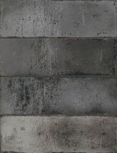 Wandtegel zwart Estudio Amazonia 20x6,5cm carbon glans
