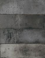 Wandtegel zwart Estudio Amazonia 20x6,5cm carbon glans